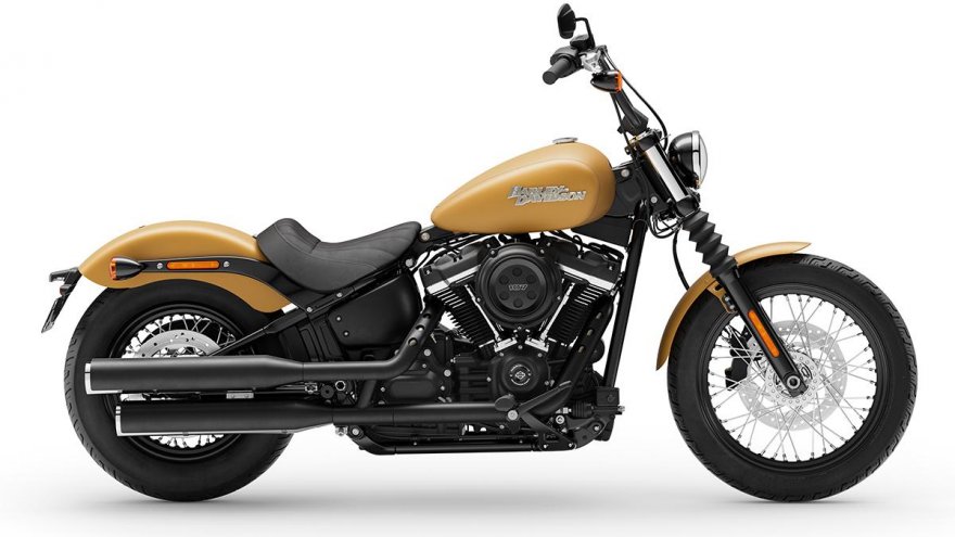 2019 Harley-Davidson Softail