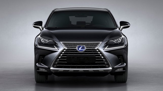 2018 Lexus NX 300豪華版