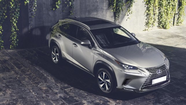 2019 Lexus NX 300旗艦版