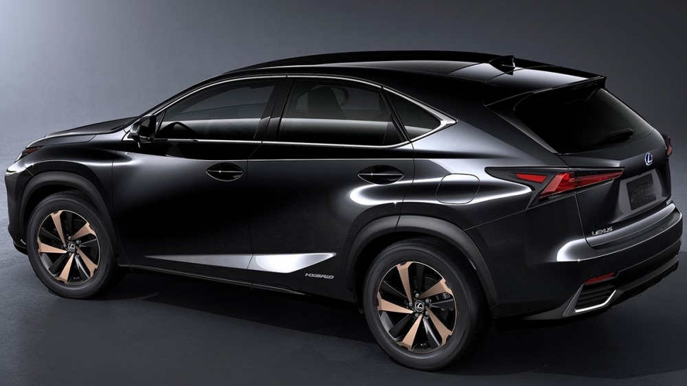 2020 Lexus NX 300頂級版