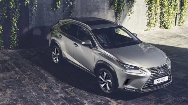 2020 Lexus NX 300h頂級版