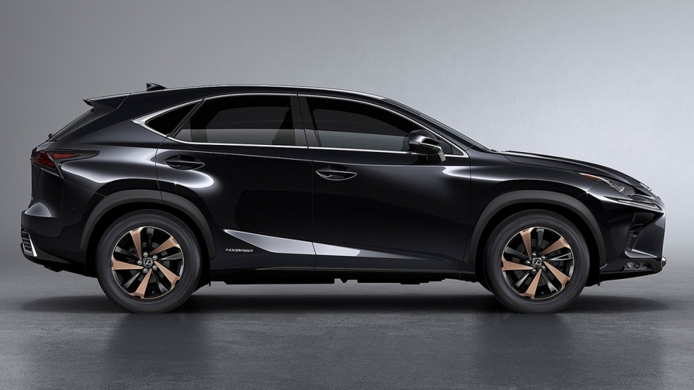 2019 Lexus NX 300豪華版