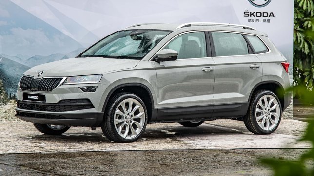 2022 Skoda Karoq 1.5 TSI雪山黑熊版