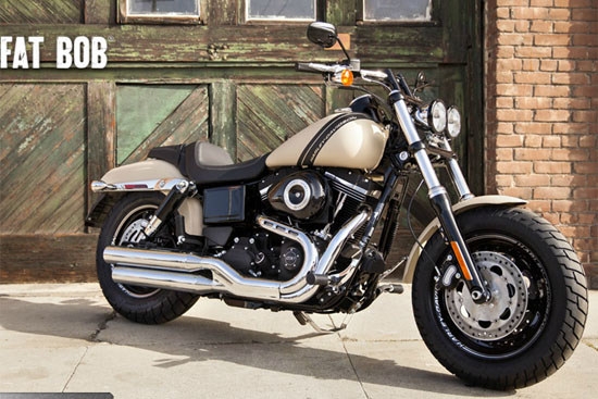 2014 Harley-Davidson Dyna Fat Bob