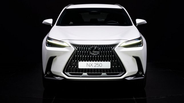 2024 Lexus NX 250頂級版