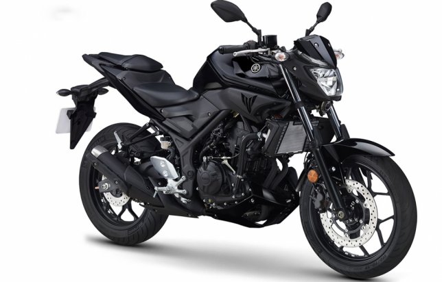 2017 Yamaha MT 03 ABS版