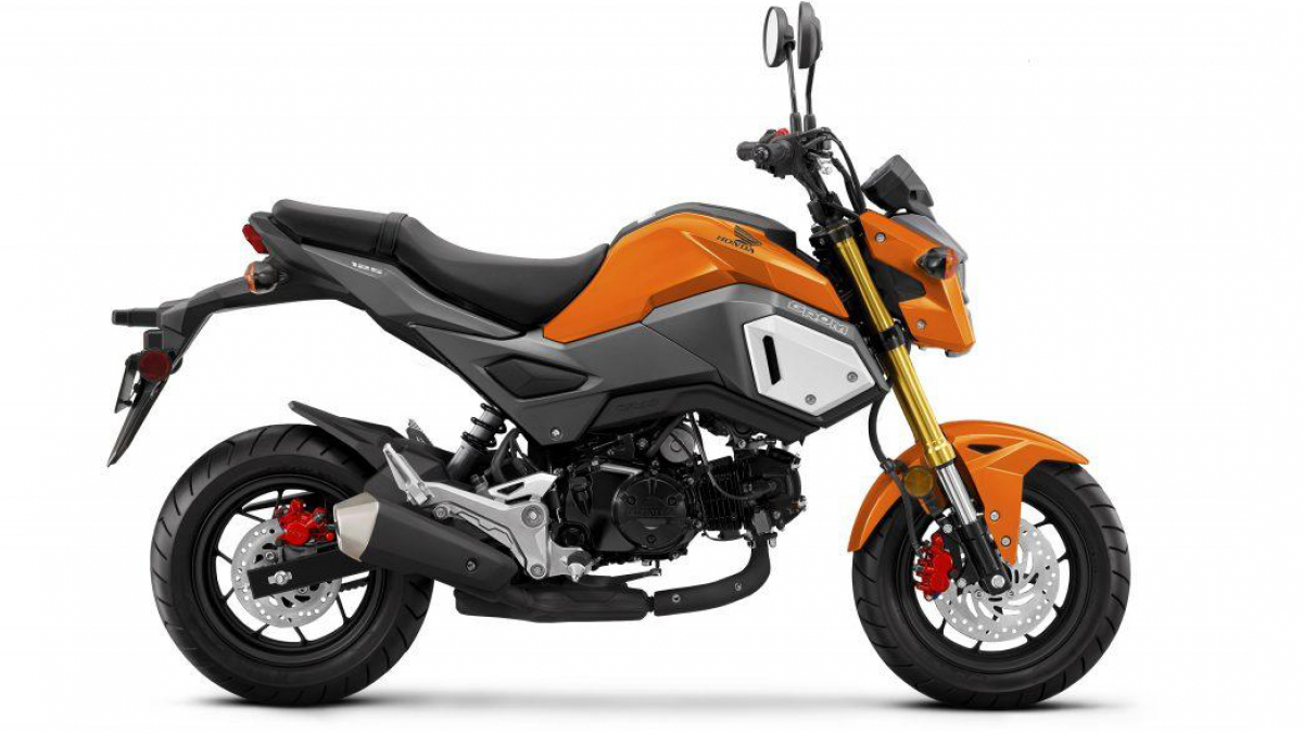 2019 Honda MSX 125 ABS