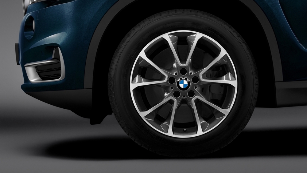 BMW_X5_xDrive35i極智白金版