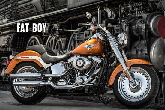 Harley-Davidson_Softail_Fat Boy